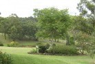 Ovinghamresidential-landscaping-40.jpg; ?>